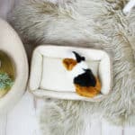 DIY Stoffe Inspiration - Hundekörbchen - Tierbett - Tierkörbchen Animal - Katzenkörbchen - Cord Elastisch Smoky Camel Beige - Deko Boucle Cremeweiß