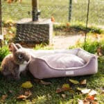 Diy Stoffe Inspiration 587b Hundekoerbchen Tierbett Tierkoerbchen Animal Kosmetiktasche Katzenkoerbchen Deko Boucle Cremeweiß Velours Dekostoff