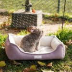 Diy Stoffe Inspiration 587c Hundekoerbchen Tierbett Tierkoerbchen Animal Kosmetiktasche Katzenkoerbchen Deko Boucle Cremeweiß Velours Dekostoff