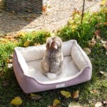 Diy Stoffe Inspiration 587d Hundekoerbchen Tierbett Tierkoerbchen Animal Kosmetiktasche Katzenkoerbchen Deko Boucle Cremeweiß Velours Dekostoff