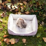 Diy Stoffe Inspiration 587f Hundekoerbchen Tierbett Tierkoerbchen Animal Kosmetiktasche Katzenkoerbchen Deko Boucle Cremeweiß Velours Dekostoff