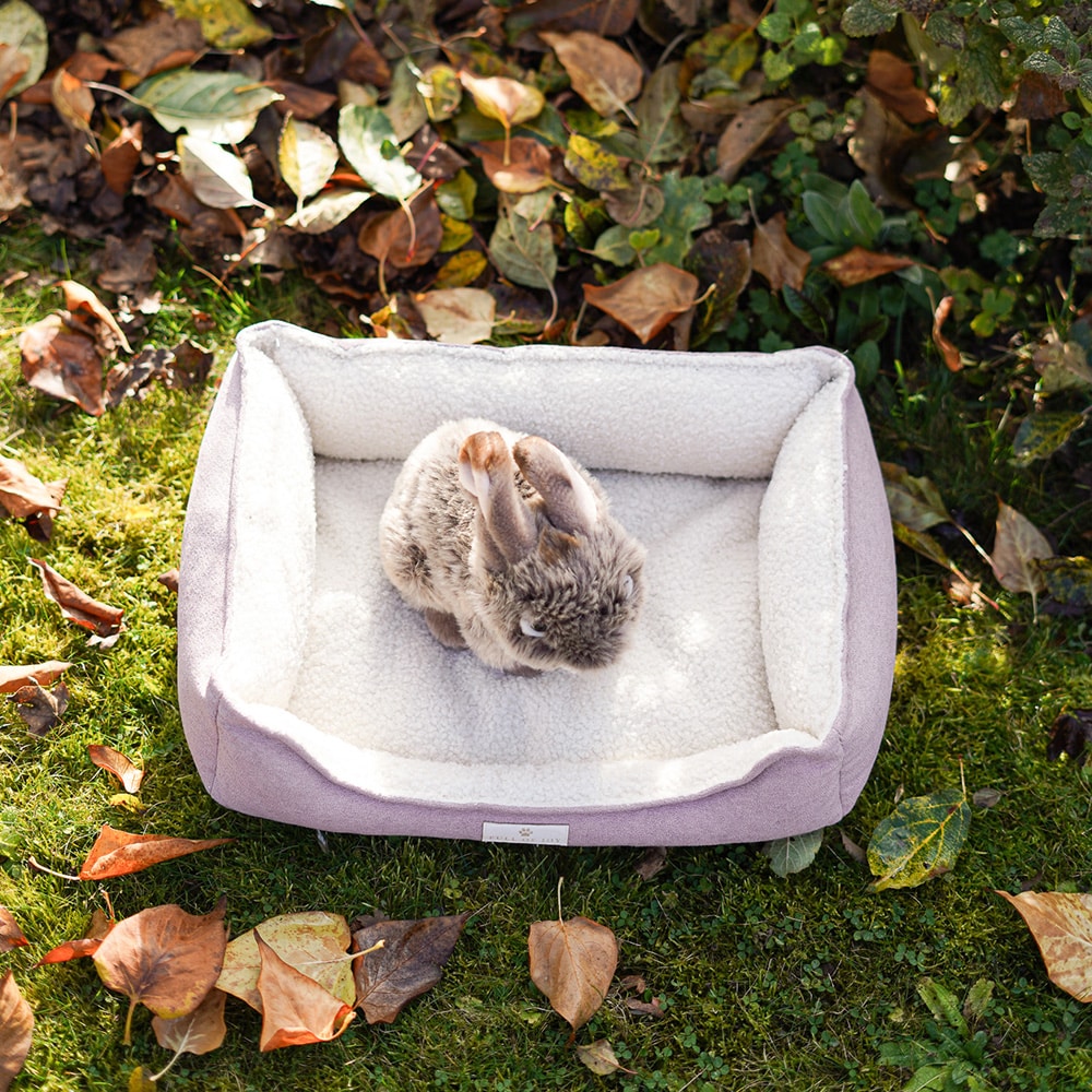 Diy Stoffe Inspiration 587f Hundekoerbchen Tierbett Tierkoerbchen Animal Kosmetiktasche Katzenkoerbchen Deko Boucle Cremeweiß Velours Dekostoff