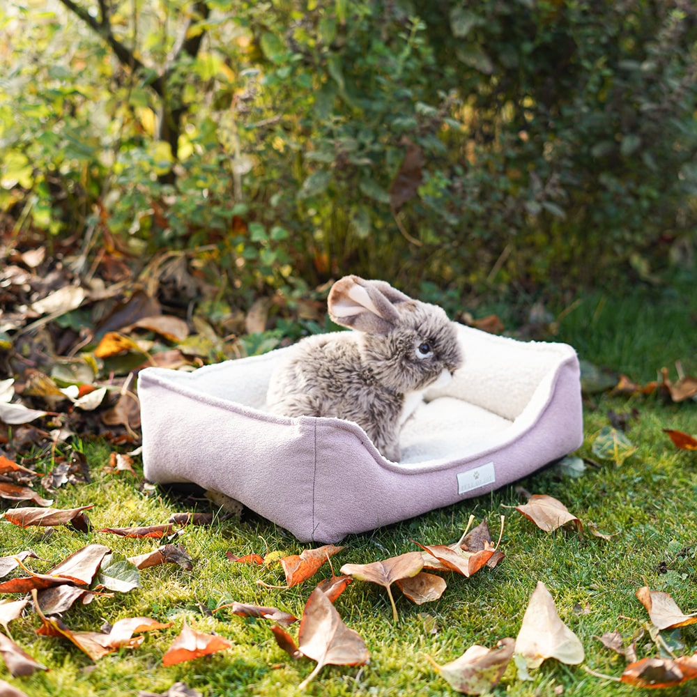 Diy Stoffe Inspiration 587g Hundekoerbchen Tierbett Tierkoerbchen Animal Kosmetiktasche Katzenkoerbchen Deko Boucle Cremeweiß Velours Dekostoff