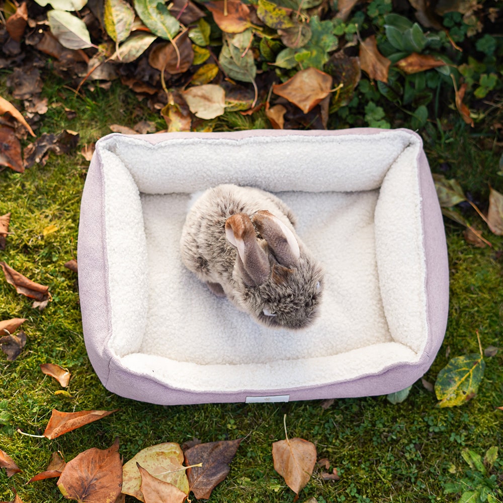 Diy Stoffe Inspiration 587h Hundekoerbchen Tierbett Tierkoerbchen Animal Kosmetiktasche Katzenkoerbchen Deko Boucle Cremeweiß Velours Dekostoff