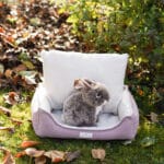 Diy Stoffe Inspiration 587i Hundekoerbchen Tierbett Tierkoerbchen Animal Kosmetiktasche Katzenkoerbchen Deko Boucle Cremeweiß Velours Dekostoff