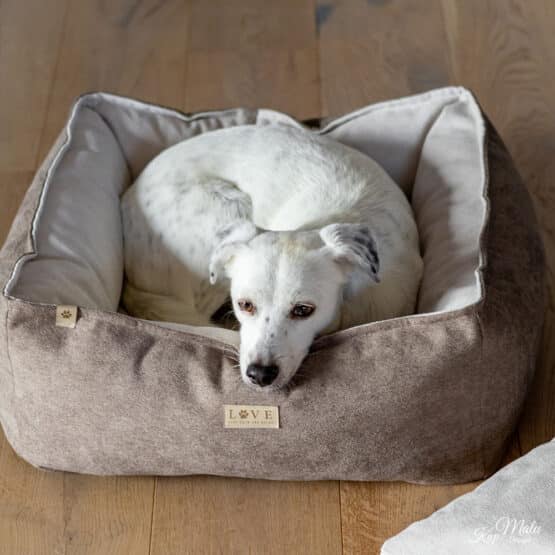 DIY Stoffe Inspiration - Hundekörbchen - Tierbett - Tierkörbchen - Animal - Katzenkörbchen - Velour Deko Dunkles Smoky Beige - Sand Beige - Label