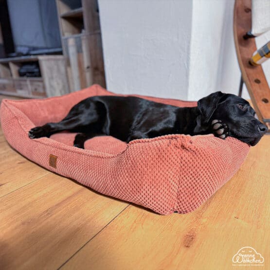 Diy Stoffe Inspiration 588m Hundekoerbchen Tierbett Tierkoerbchen Animal Katzenkoerbchen Velvet Strukturiert Dark Soft Blush