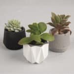 Diy Stoffe Inspiration 590f Giessen Formen Silikon Weiss Beton Pflanze Topf Toepfchen