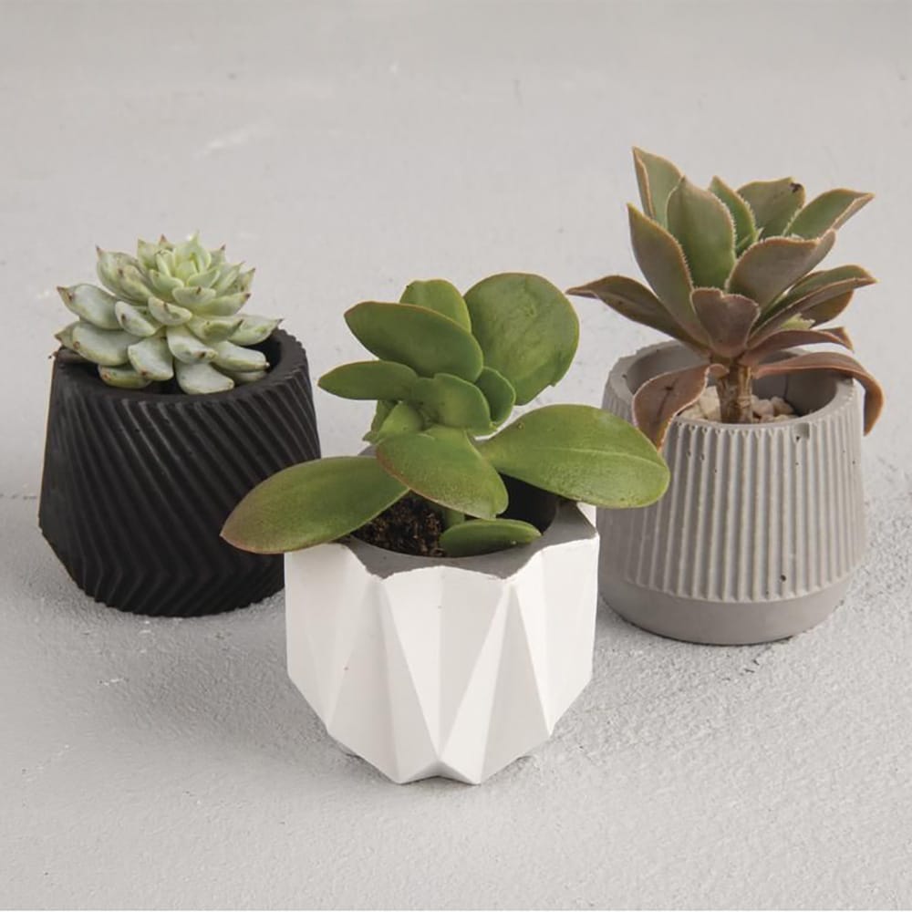 Diy Stoffe Inspiration 590f Giessen Formen Silikon Weiss Beton Pflanze Topf Toepfchen