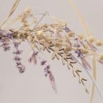 Holzstecker Lavendel 1