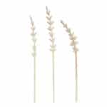 Holzstecker Lavendel