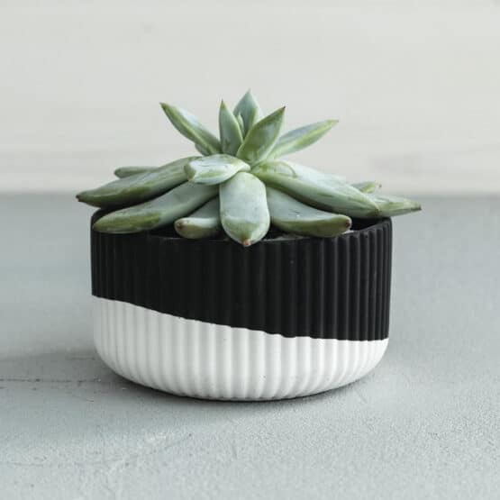 Gießpulver Raysin – 250 Schwarz – 1 kg