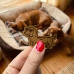 Kunstleder Label Dackel mit Sonnenbrille