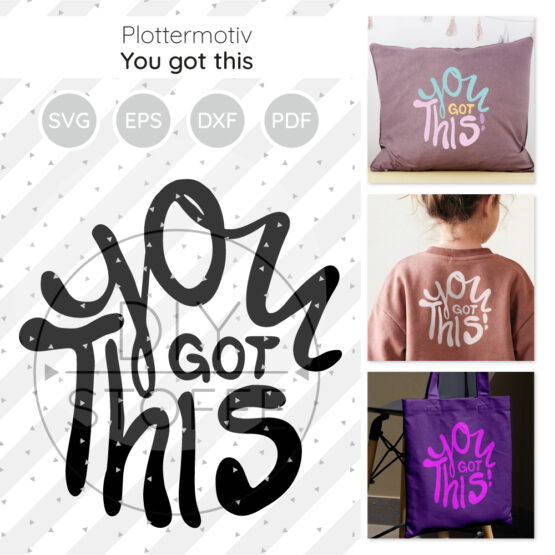 You Got This Plottermotiv Diy Stoffe 1